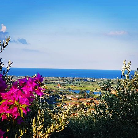 Colle Del Mirto Villa Castelnuovo Cilento Екстериор снимка