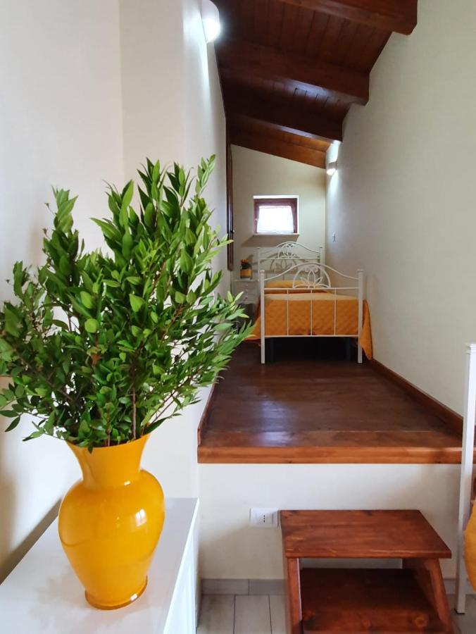 Colle Del Mirto Villa Castelnuovo Cilento Екстериор снимка