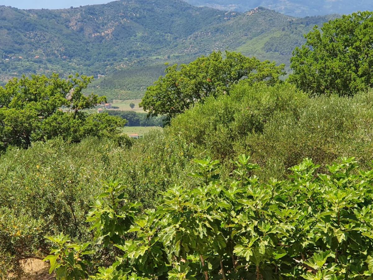 Colle Del Mirto Villa Castelnuovo Cilento Екстериор снимка