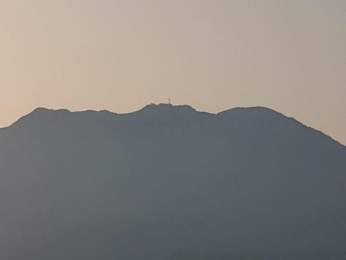 Colle Del Mirto Villa Castelnuovo Cilento Екстериор снимка