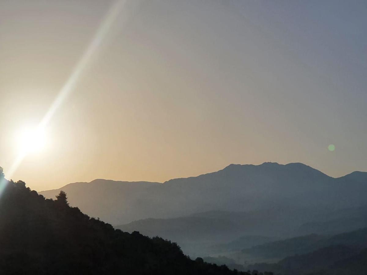 Colle Del Mirto Villa Castelnuovo Cilento Екстериор снимка