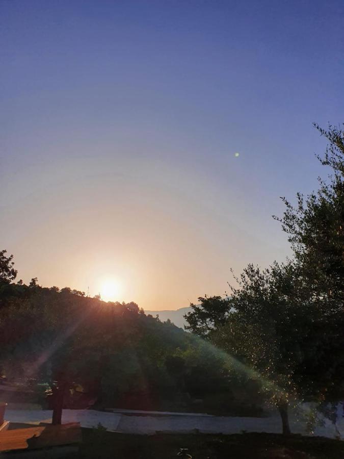 Colle Del Mirto Villa Castelnuovo Cilento Екстериор снимка