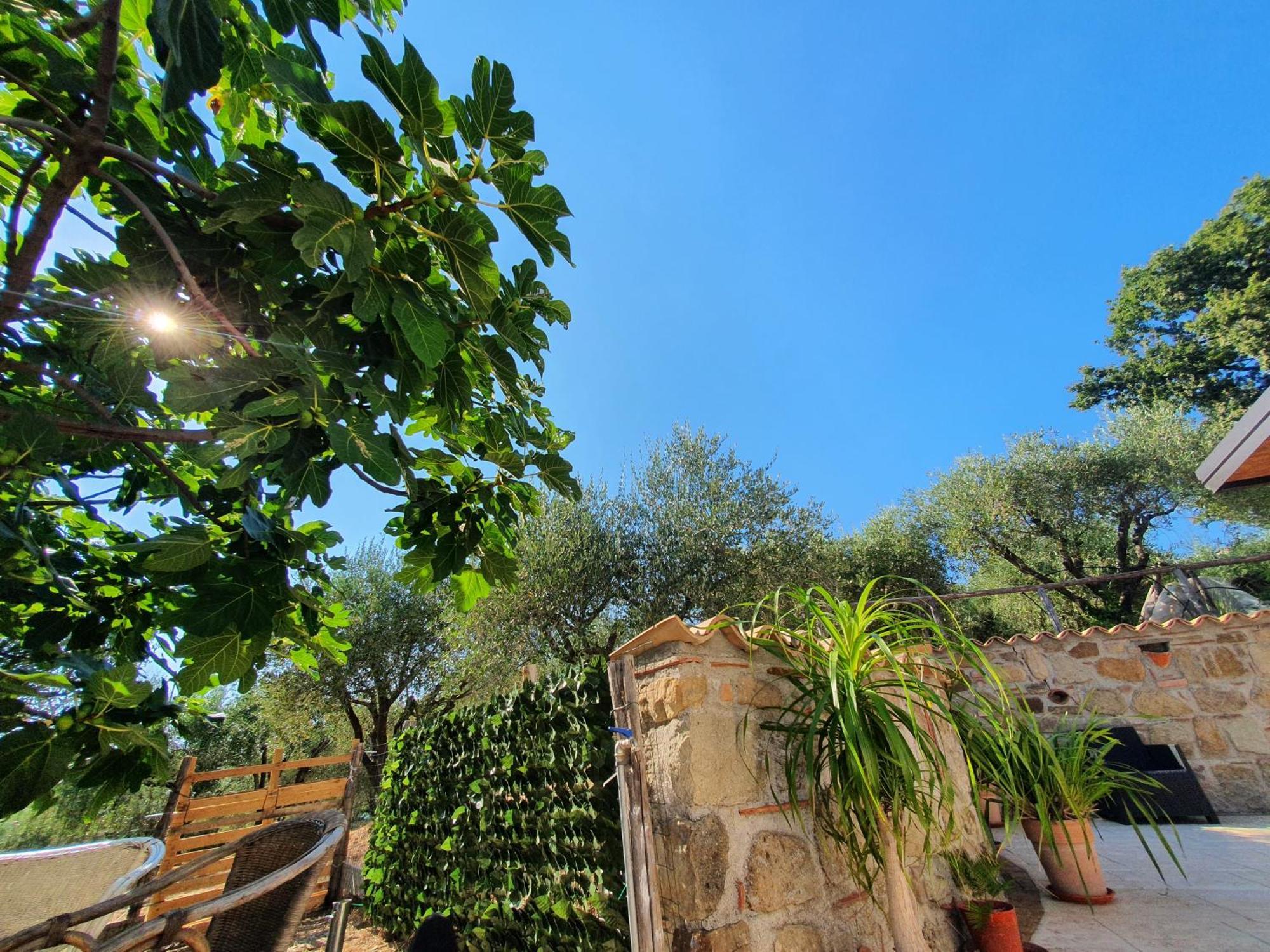 Colle Del Mirto Villa Castelnuovo Cilento Екстериор снимка